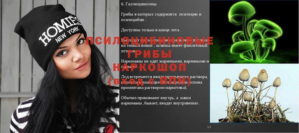 дурь Алзамай