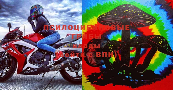 дурь Алзамай