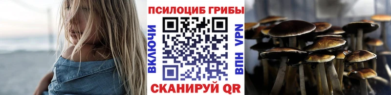 магазин  наркотиков  МЕГА вход  Псилоцибиновые грибы GOLDEN TEACHER  Карачаевск 