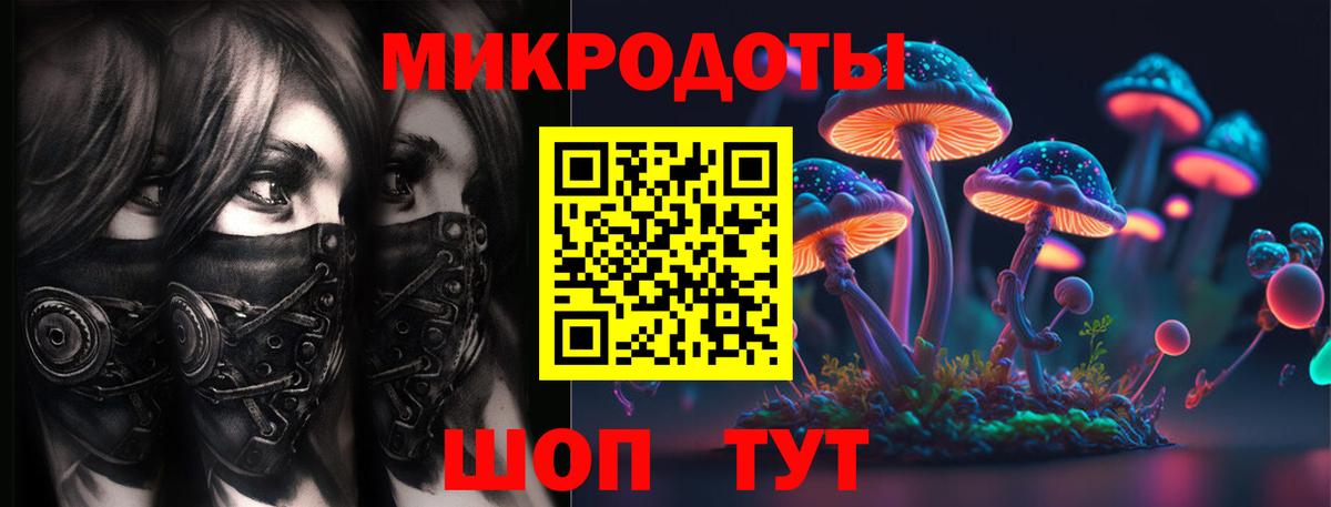 Псилоцибиновые грибы Cubensis  Вход с VPN  закладка  Карачаевск  Галлюциногенные грибы Magic Shrooms 